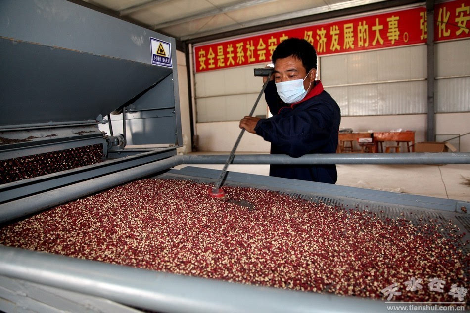 清水玄头村 花椒加工厂正式投产，特色产业引领脱贫攻坚新篇章